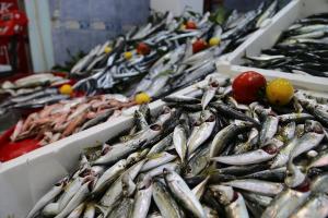 Hamsinin yerini istavrit ve mezgit aldı