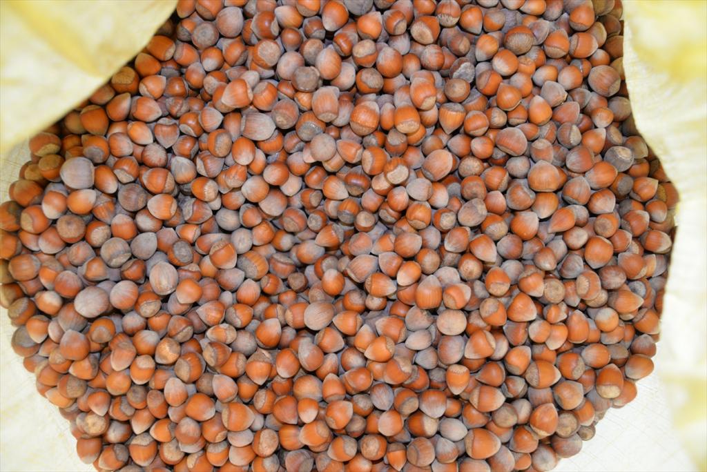 Kabuklu fındığın kilogramı 9,05 liradan işlem gördü