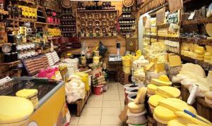 “Trabzon pilot il olacak”