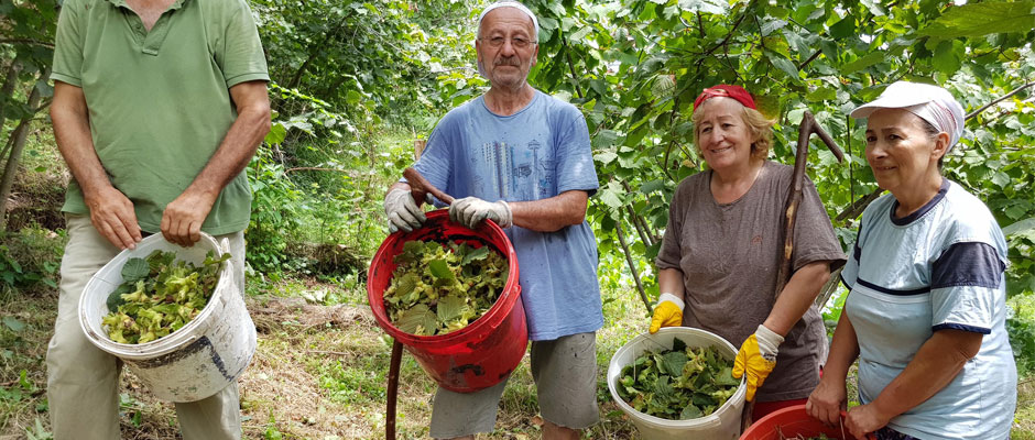 Üretici 15 TL Fiyat Bekliyor
