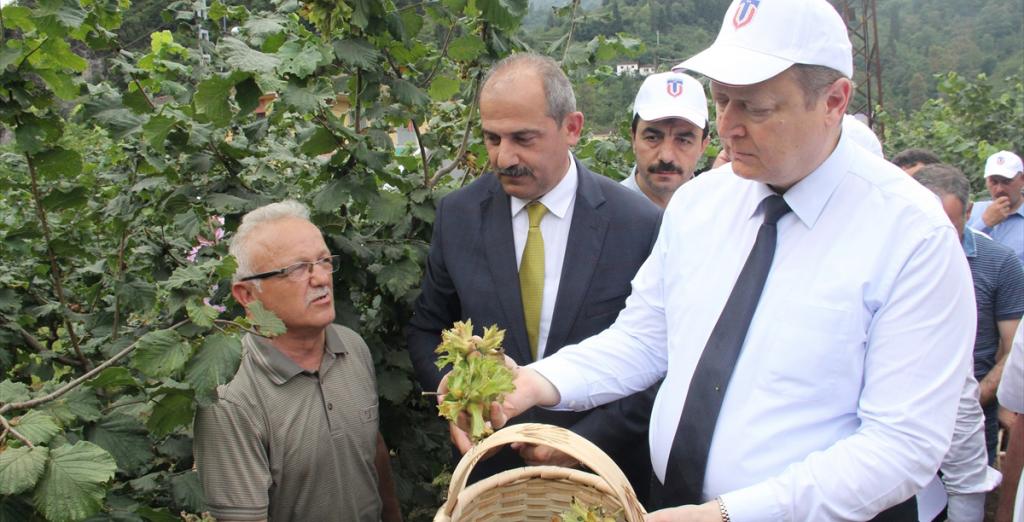 Trabzon’da ‘hasat şenliği’