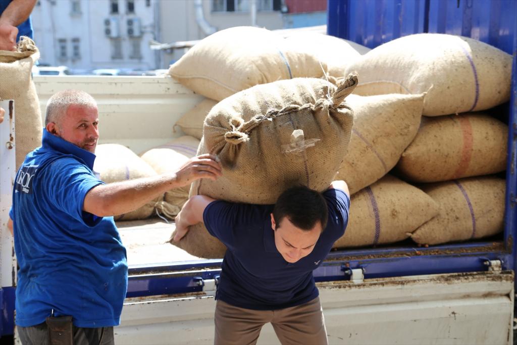 Ordu’da fındık fiyatı 13 liraya yükseldi