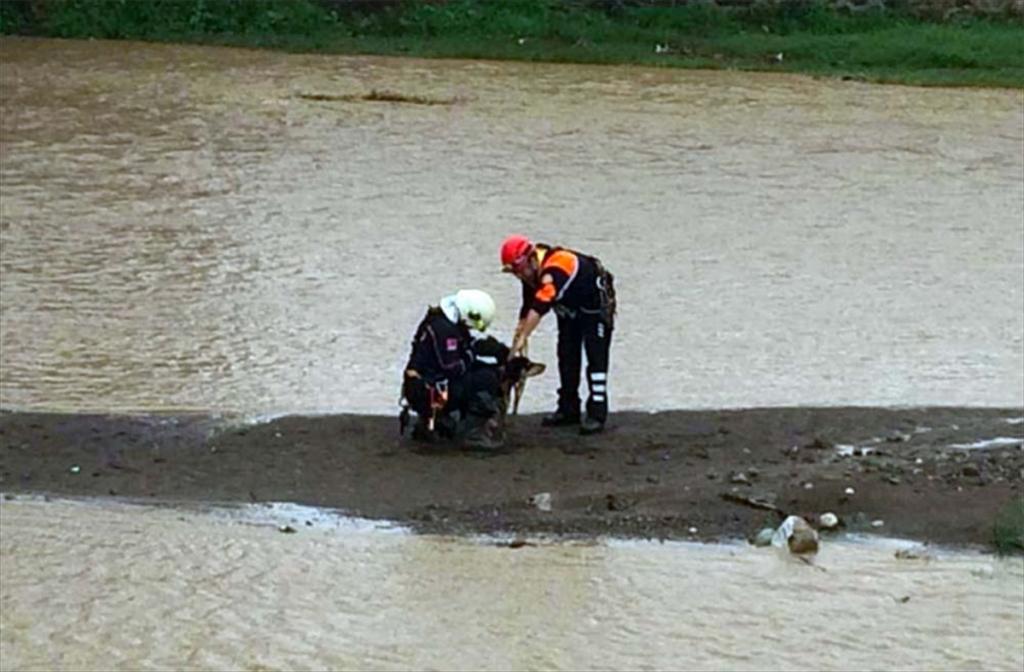 Trabzon’da dereye düşen köpek kurtarıldı
