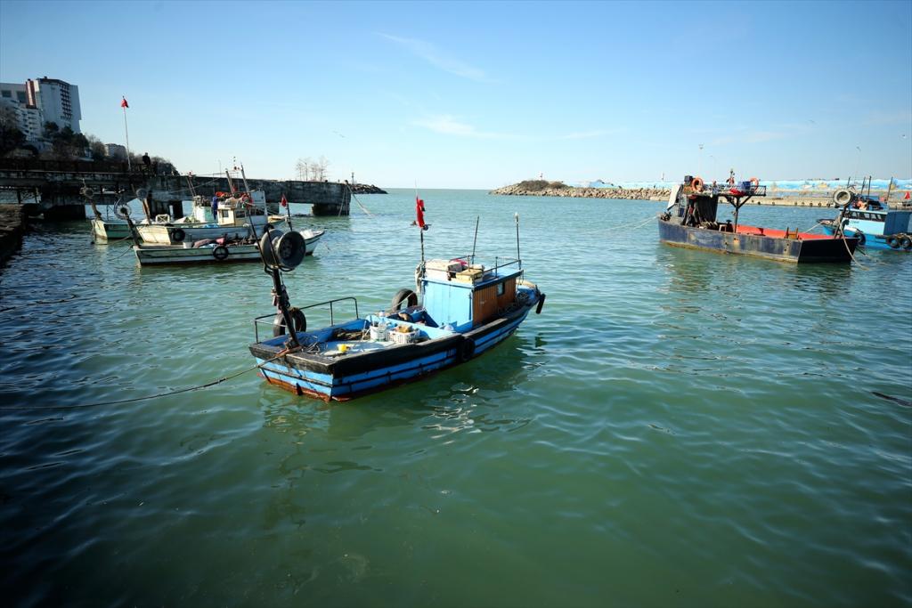 Balık rotasını Doğu Karadeniz’e çevirdi