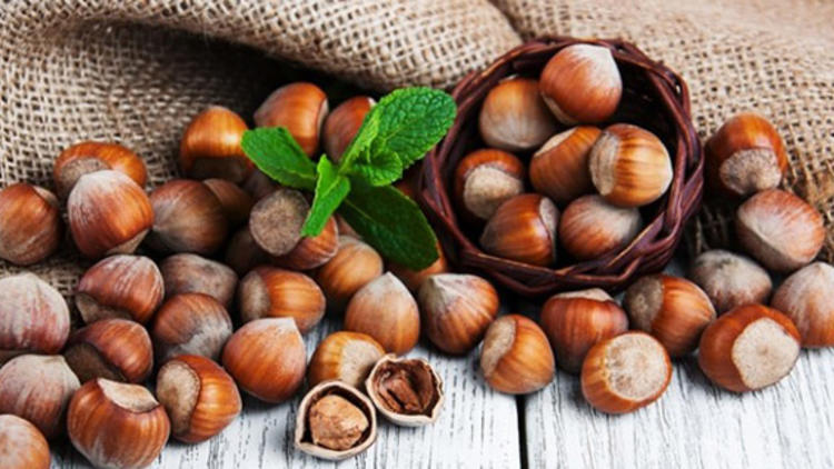 Fındığın çöpü, mısırın sapı sanayiye enerji verecek