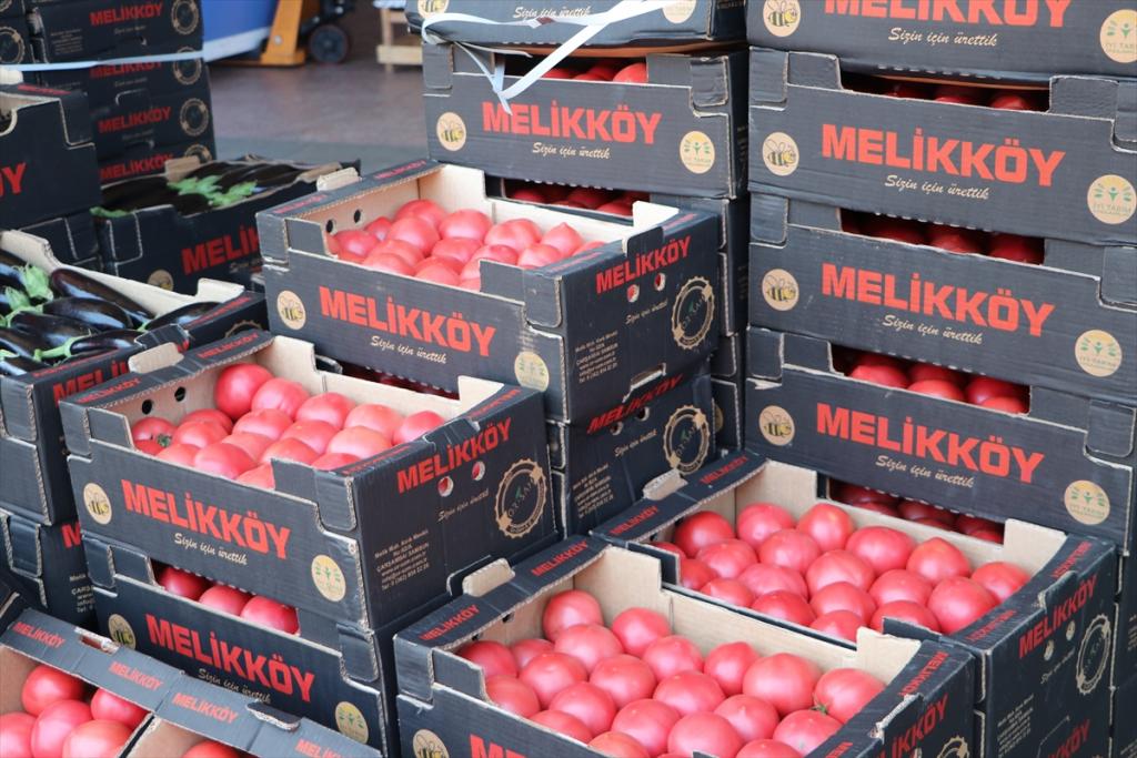 Rusya’ya domates ihracatındaki artış yüz güldürüyor