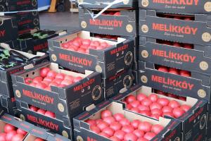 Rusya’ya domates ihracatındaki artış yüz güldürüyor