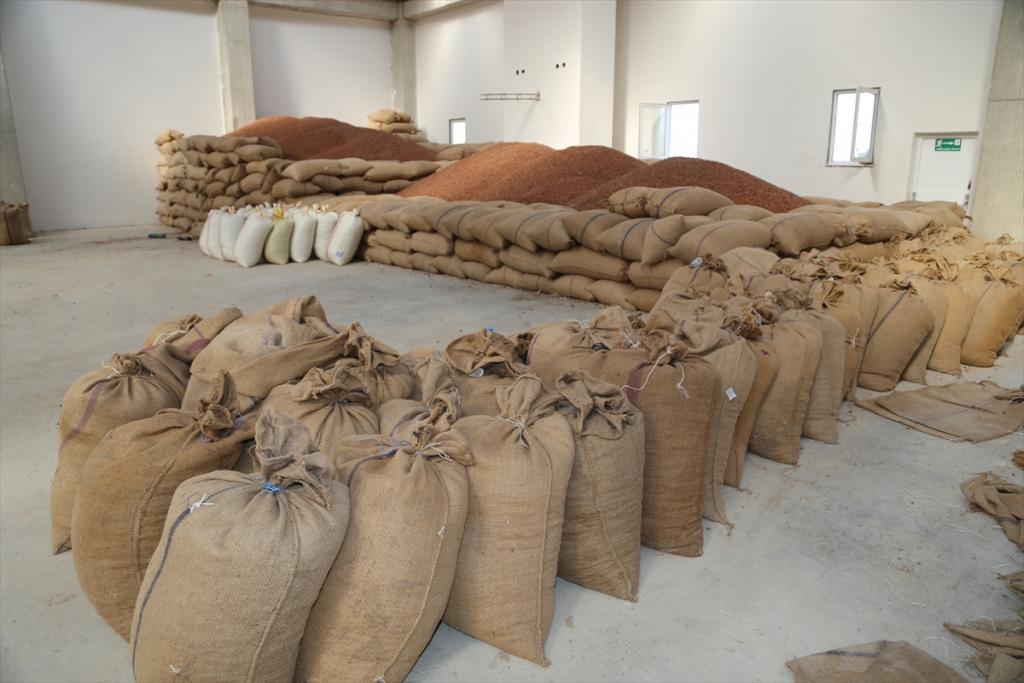 Fındık fiyatları ne kadar?