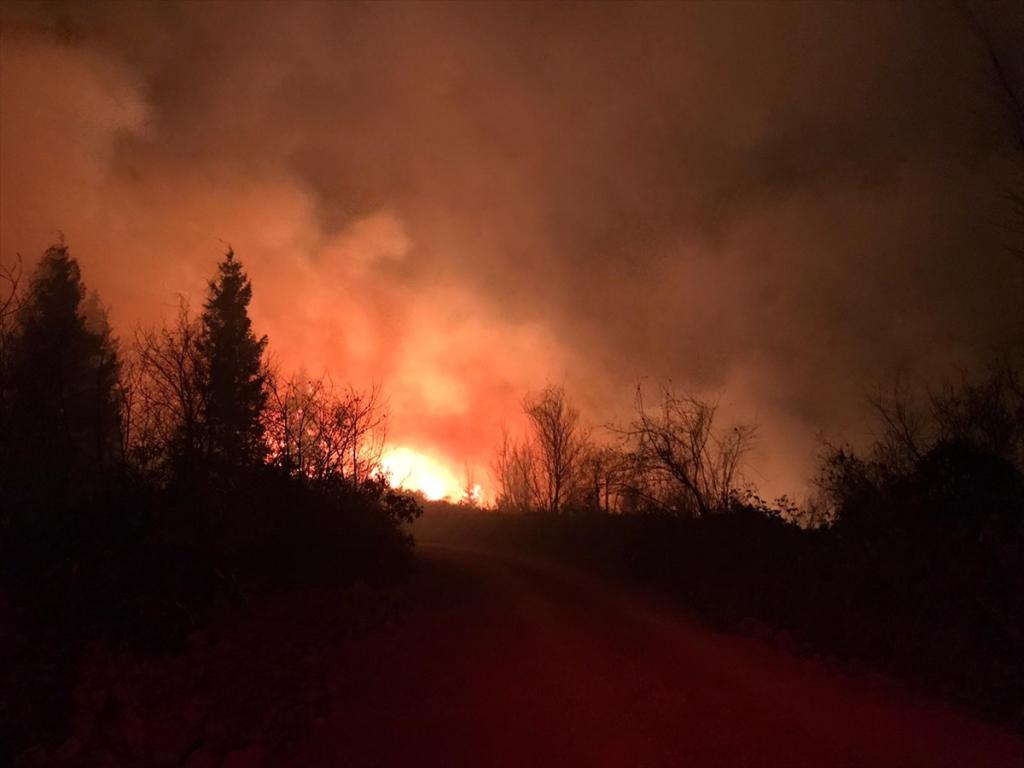 Trabzon’daki örtü yangınlarını söndürme çalışmaları sürüyor