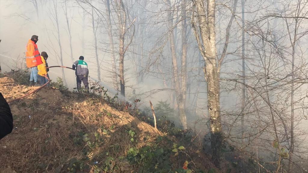 Karadeniz Bölgesi’ndeki tüm yangınlar kontrol altına alındı