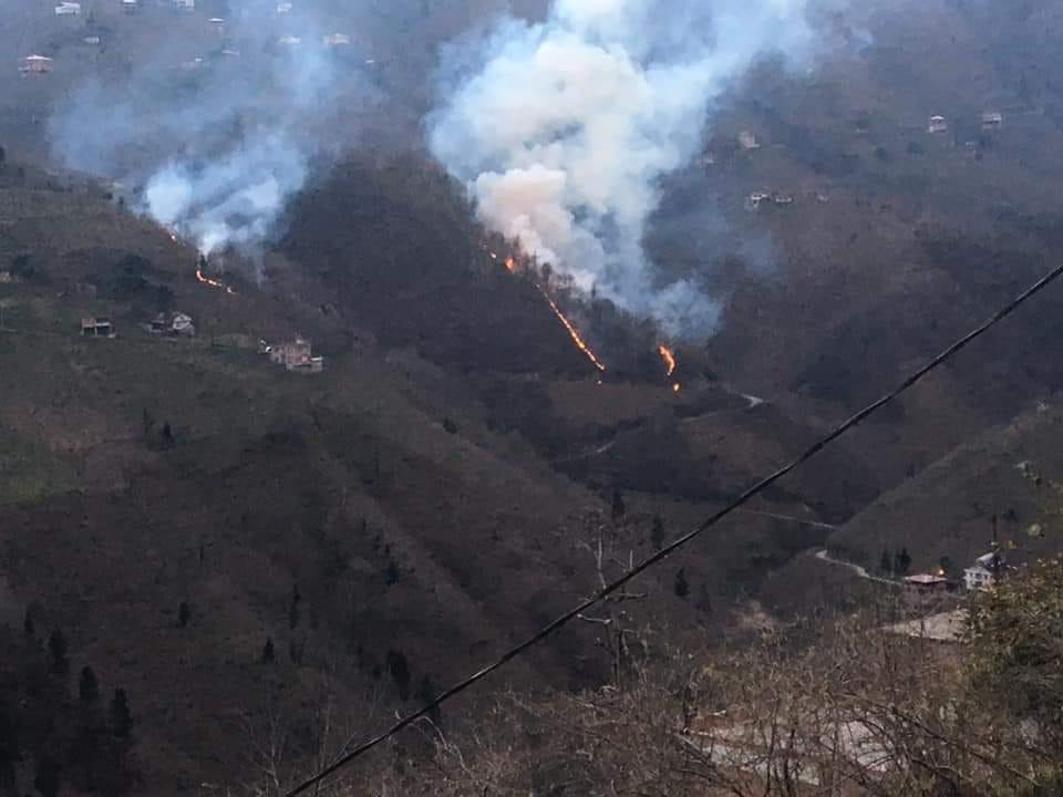 Trabzon’daki orman yangınlarında son durum! Nerelerde devam ediyor!