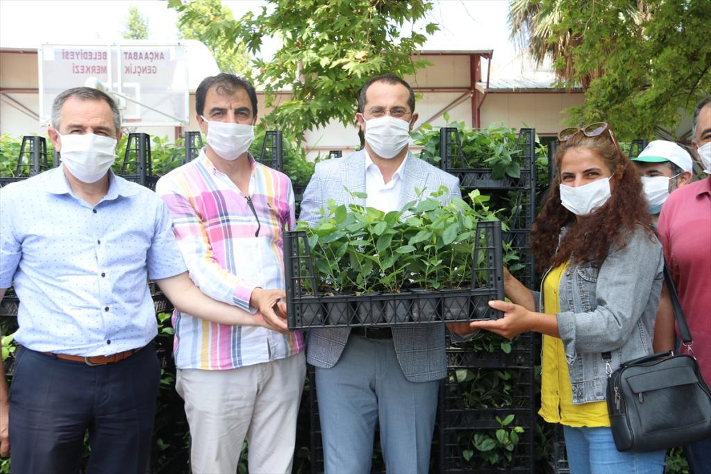 Akçaabat’ta alternatif tarım ürünlerinin geliştirilmesi çalışmaları