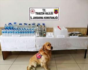 Trabzon’da 115 litre sahte rakı ele geçirildi