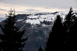 Trabzon yaylalarında sonbahardan kalan renkler ziyaretçi çekiyor