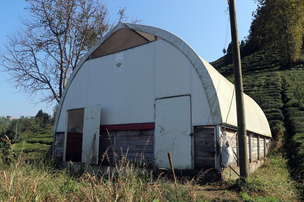 “Genç Çiftçi Projesi” sayesinde köyüne dönen kadın siparişlere yetişemiyor