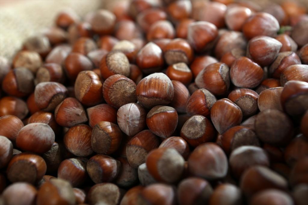 Trabzon Ticaret Borsasında fındık fiyatları