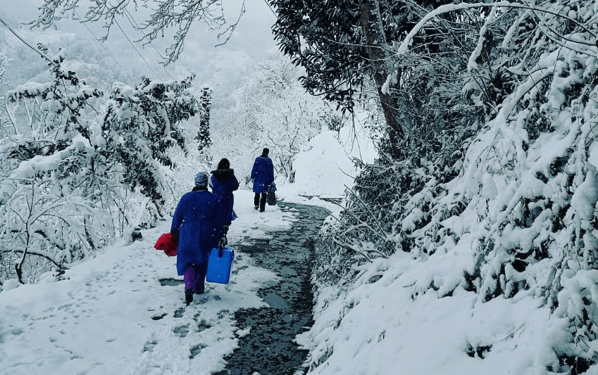 Trabzon’da zorlu kış şartlarına rağmen aşı çalışmaları aralıksız sürüyor