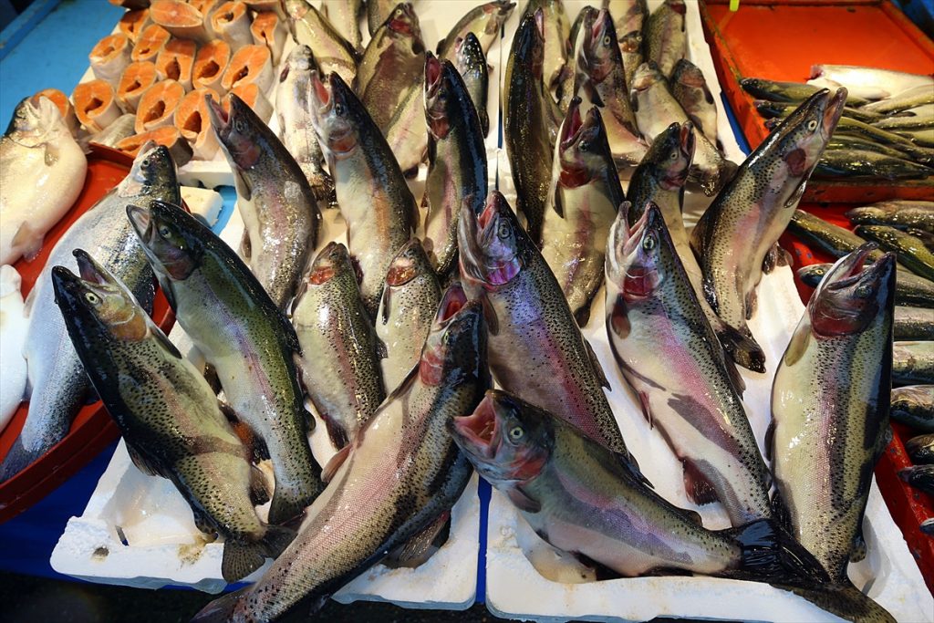 Karadeniz somonu yılın ilk iki ayında 30 ülkeye ihraç edildi