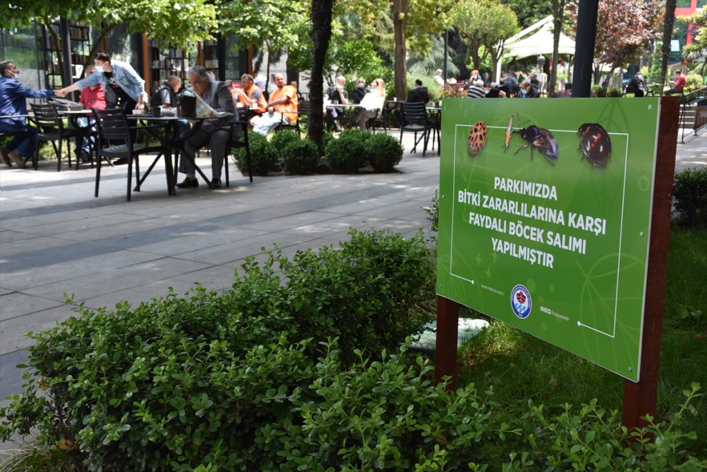 Trabzon’daki parklar zararlılardan biyolojik mücadeleyle korunacak