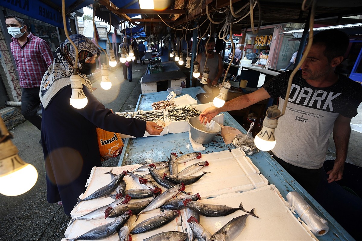 Trabzon’da balık tezgahlarında palamut ve istavrit bolluğu yaşanıyor