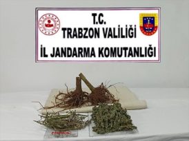 Trabzon’da uyuşturucu operasyonunda 1 şüpheli yakalandı