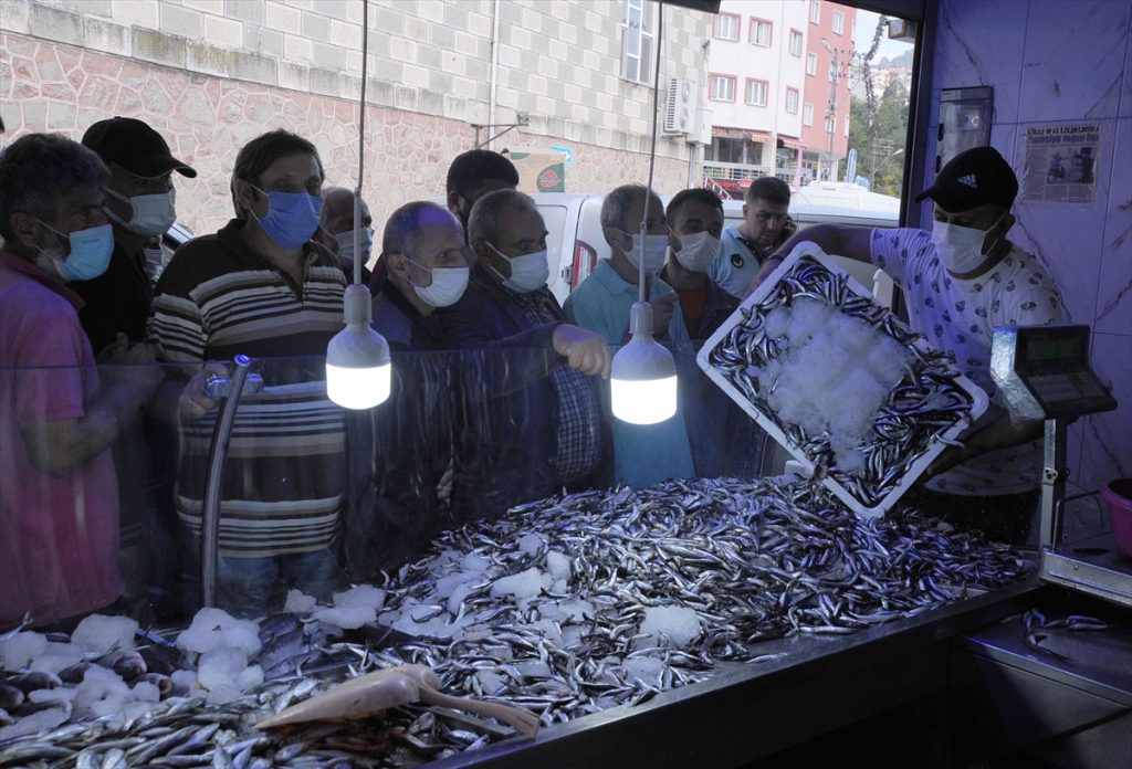 Hopa’da kilogramı 5 liradan satılan hamsi, balıkçı tezgahında kuyruk oluşturdu