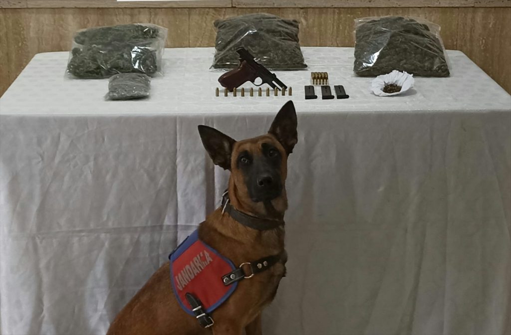 Trabzon’da uyuşturucu operasyonunda 2 şüpheli yakalandı