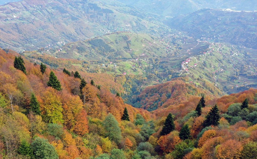 Trabzon’un 1600 rakımlı Hıdırnebi Yaylası’nda güz zamanı