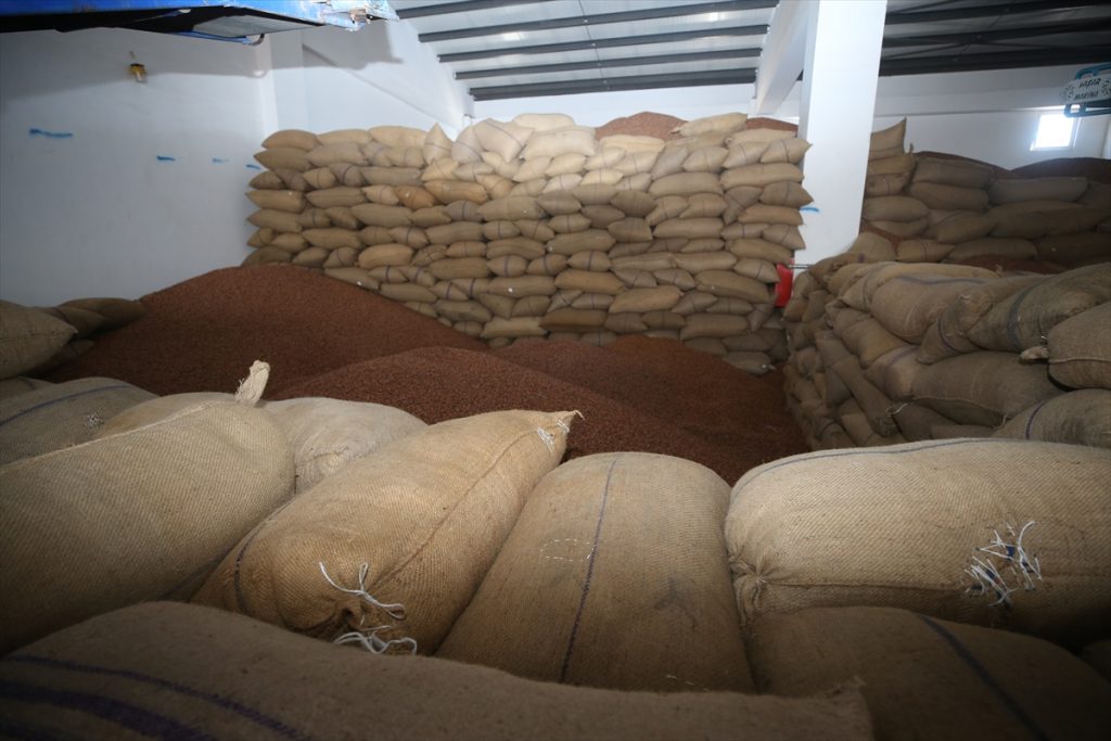 Trabzon Ticaret Borsasında fındık fiyatları