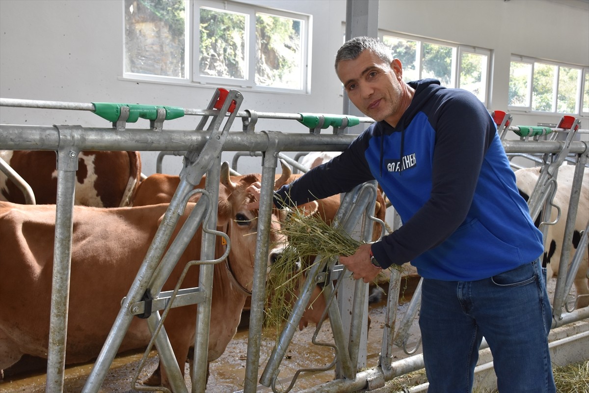 Trabzonlu öğretmen TKDK’den destek alarak süt üretim çiftliği kurdu