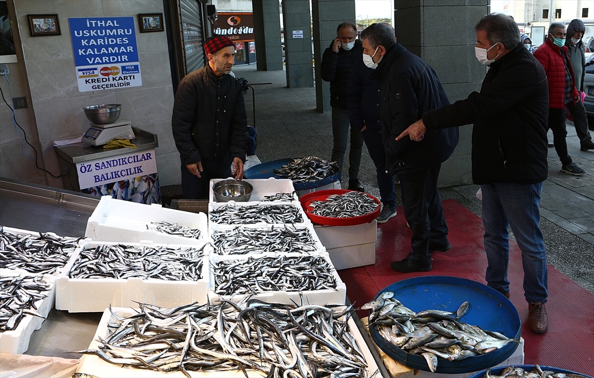 Trabzon’da tezgahlarda hamsinin kilosu 12,5 ila 20 liradan satılıyor