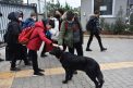 Trabzon’da okul müdürü, sahiplendiği “Pars” ile köpek korkusunu yendi
