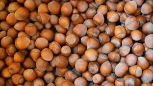 Türkiye’nin fındık ihracatının yüzde 34’ü Trabzon’dan yapıldı