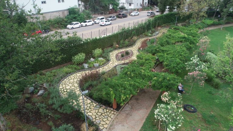 ‘Tıbbî ve Aromatik Bitkiler Koleksiyon Bahçesi’ görenleri hayran bırakıyor