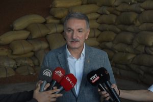 Üreticiler, TMO’nun fındık alımından memnun