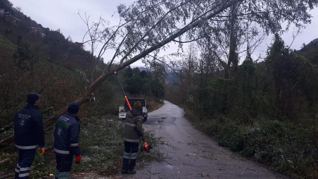 Trabzon Büyükşehir Belediyesi ekipleri fırtına nedeniyle 318 ihbara müdahale etti
