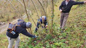 Arsin’de fındık budama eğitimi