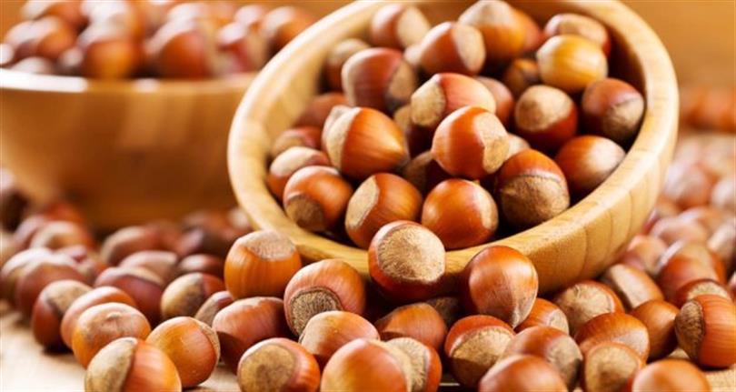 FINDIK İHRACATI YENİ YILA ARTIŞLA BAŞLADI