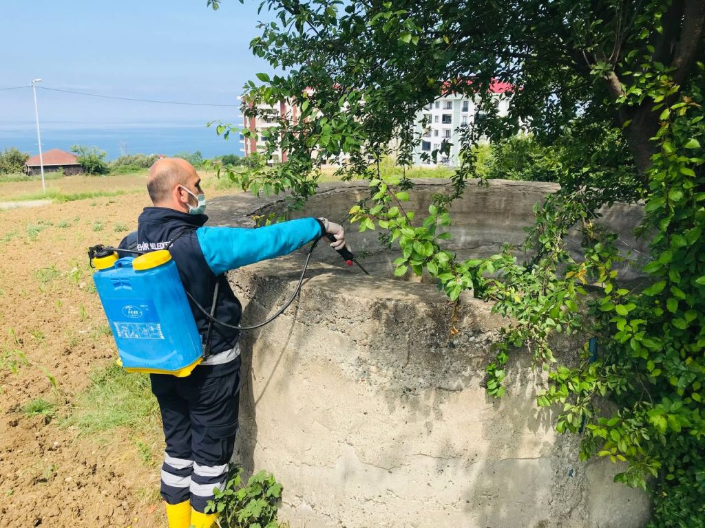 BÜYÜKŞEHİR BELEDİYESİ YAZA HAZIR