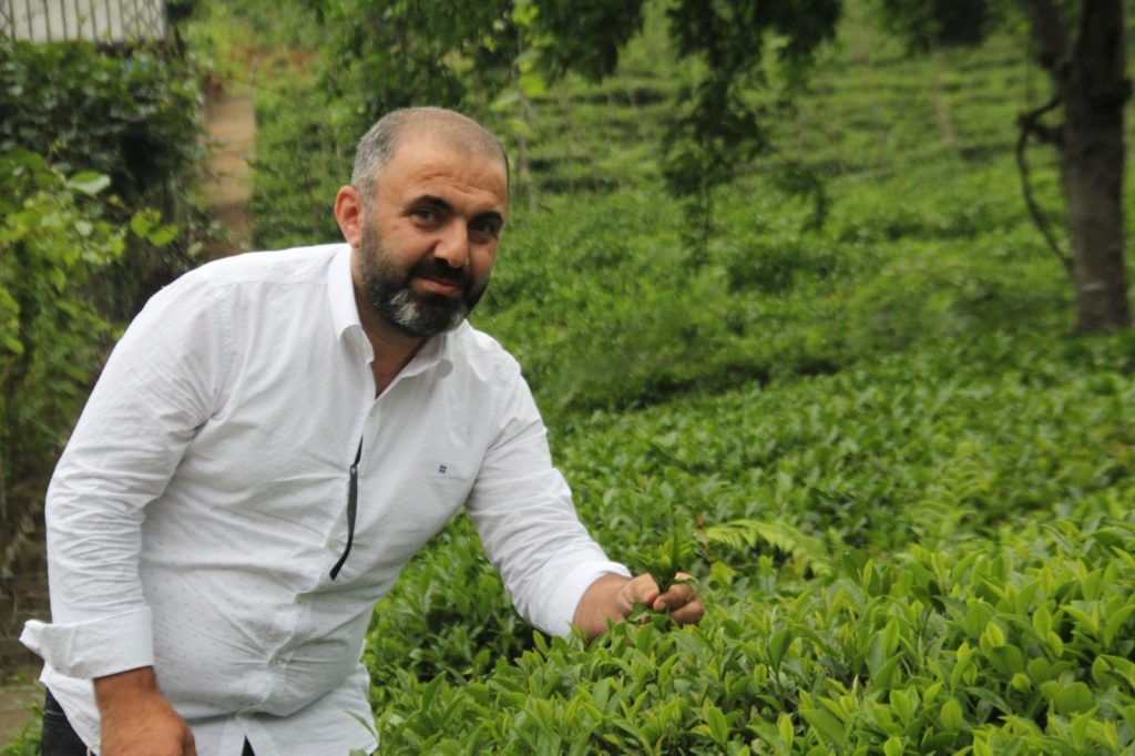 2025 Yılı yaş çay alım fiyatı 25,44 TL olarak açıklandı