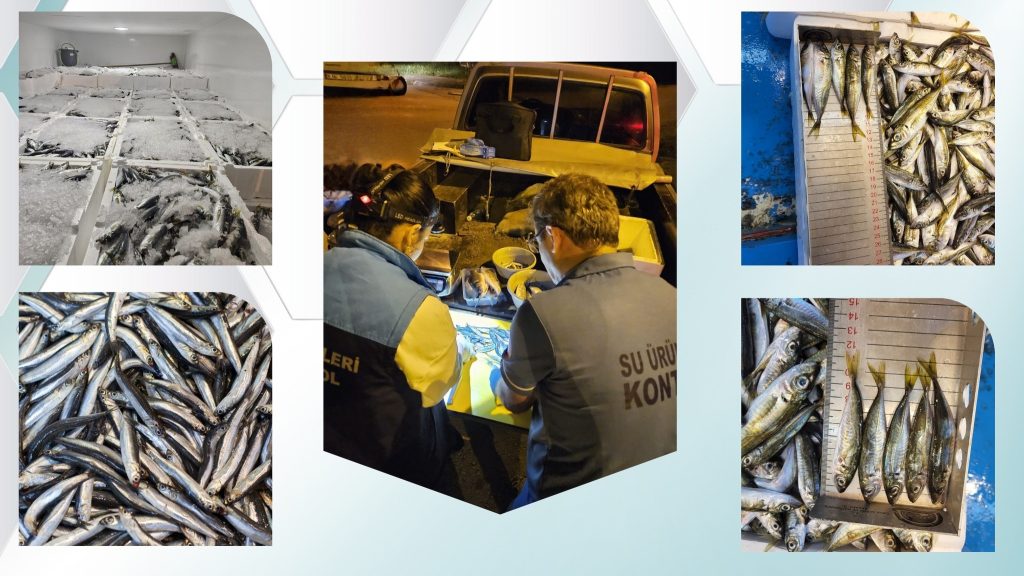 Trabzon’da Nakil Güzergahlarında Su Ürünleri Denetimleri Aralıksız Sürüyor