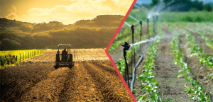 Yaklaşık 321 Milyon Liralık Destekleme Ödemesi Bugün Hesaplara Aktarılıyor