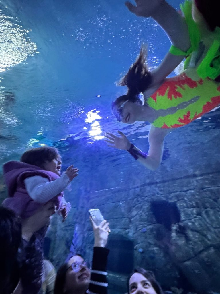 Trabzon Akvaryum’da Su Balesi Gösterisi Yeniden Başladı