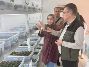 2026 Ağaçlandırma Seferberliği İçin Talimat: Fidan Üretiminde Hedef Büyüyor