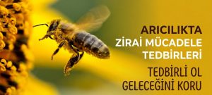 Arıcılıkta Zirai Mücadele Uyarısı: Üreticilere ve Arıcılara Kritik Tedbir Çağrısı