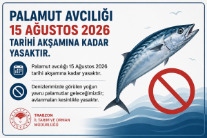 Trabzon’dan Balıkçılara Palamut Avı Uyarısı
