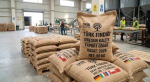 Türkiye’nin Fındık İhracatı 8 Ayda 1,73 Milyon Doları Aştı!