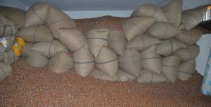 Trabzon’un ihracatında “fındık” başı çekti