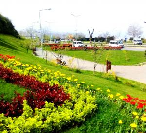 Trabzon çiçek bahçesi oldu