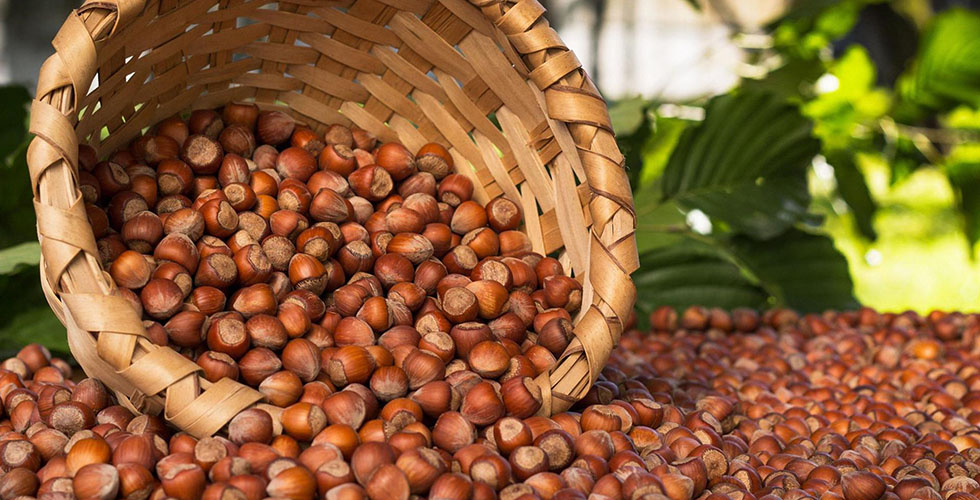 Fındık Piyasasında Son Durum!